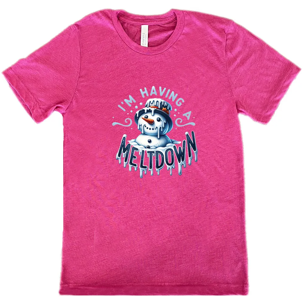 I'm Having A Meltdown Shirt Unisex